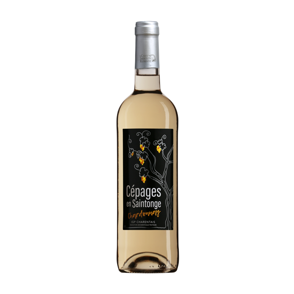 Cépages en Saintonge : Chardonnay